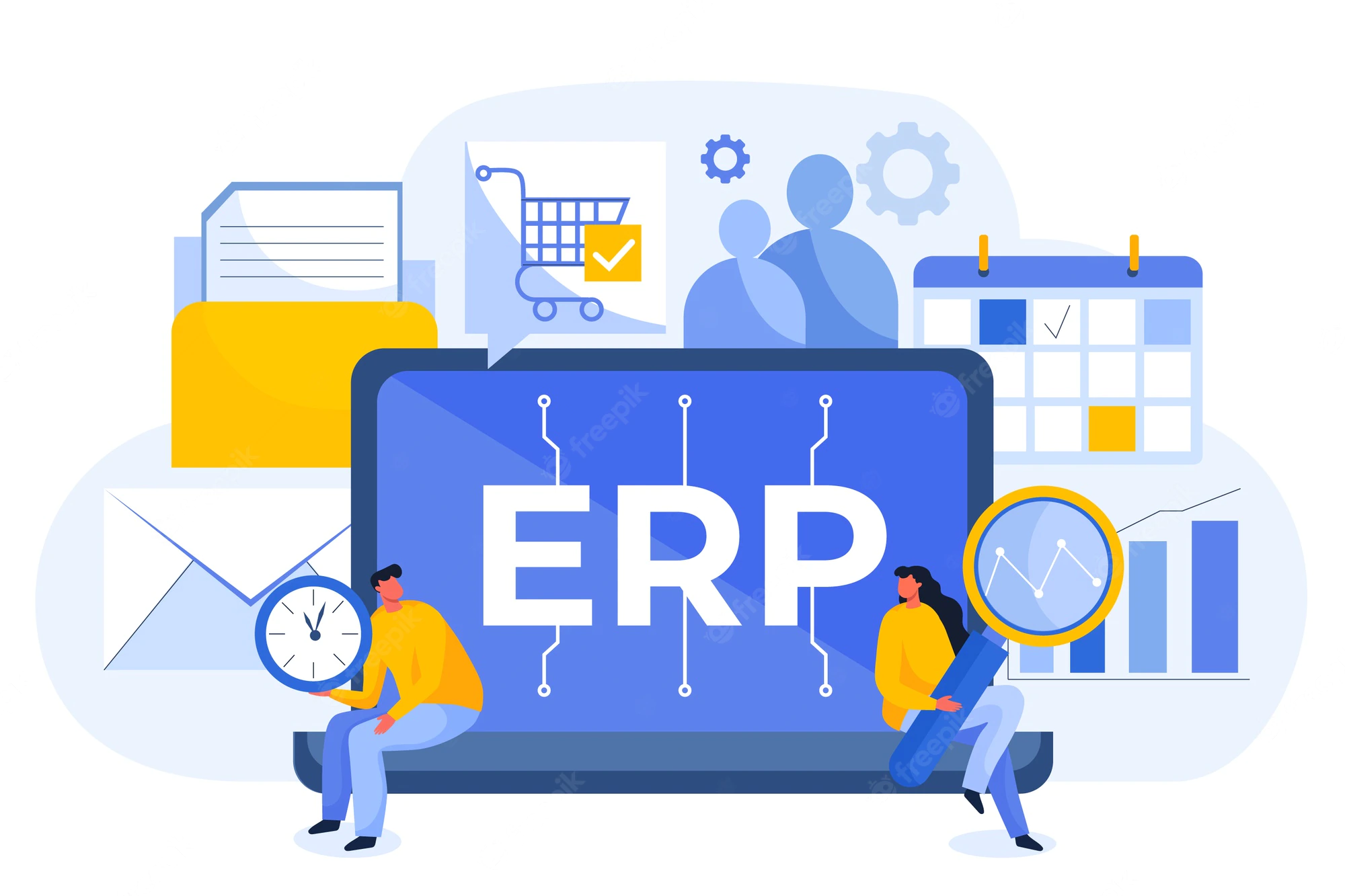 ERP Software Services